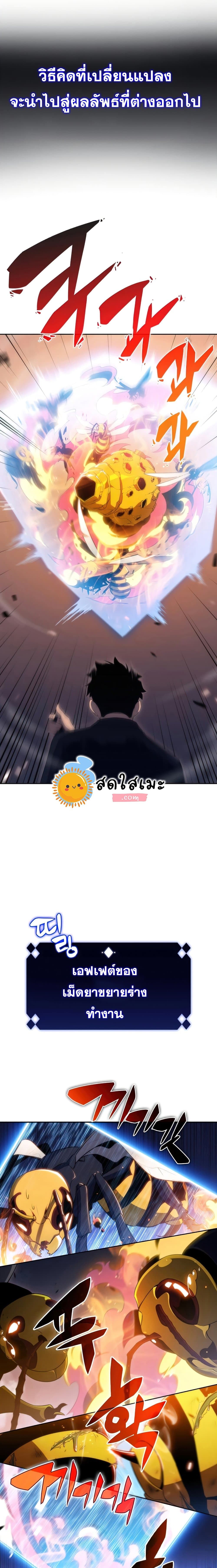 Solo Max-Level Newbie ตอนที่ 30 13